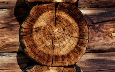 Rompiendo mitos sobre la madera en construcción