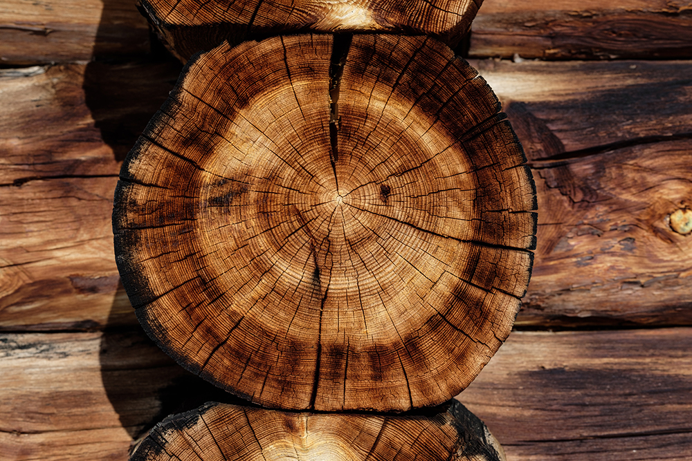 Efectos positivos de utilizar madera en bioconstruccion