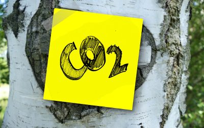 Huella de carbono cero. Cambiar a un nuevo estilo de vida más sostenible